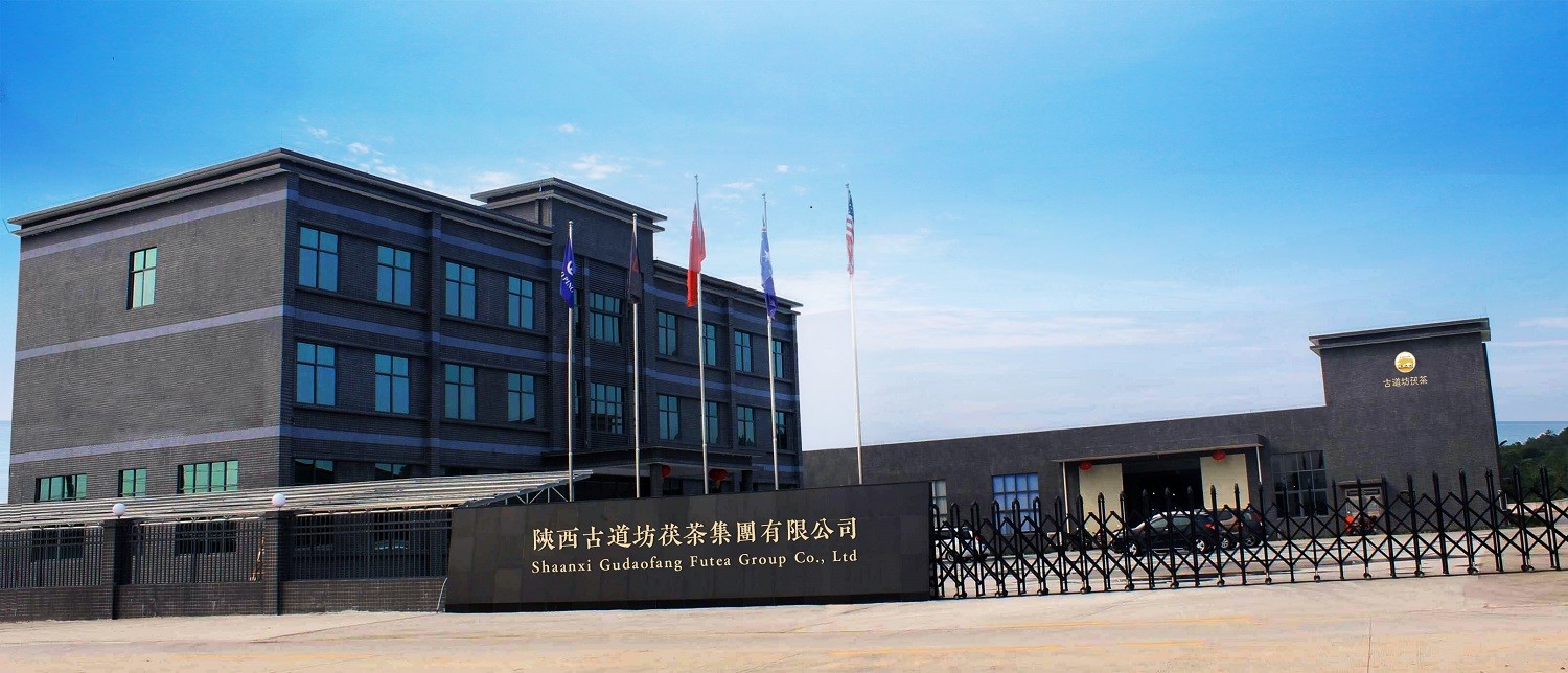 China Shaanxi Gudaofang Futea Group Co., Ltd. Bedrijfsprofiel