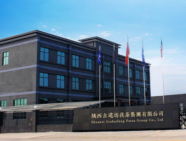 China Shaanxi Gudaofang Futea Group Co., Ltd. Bedrijfsprofiel